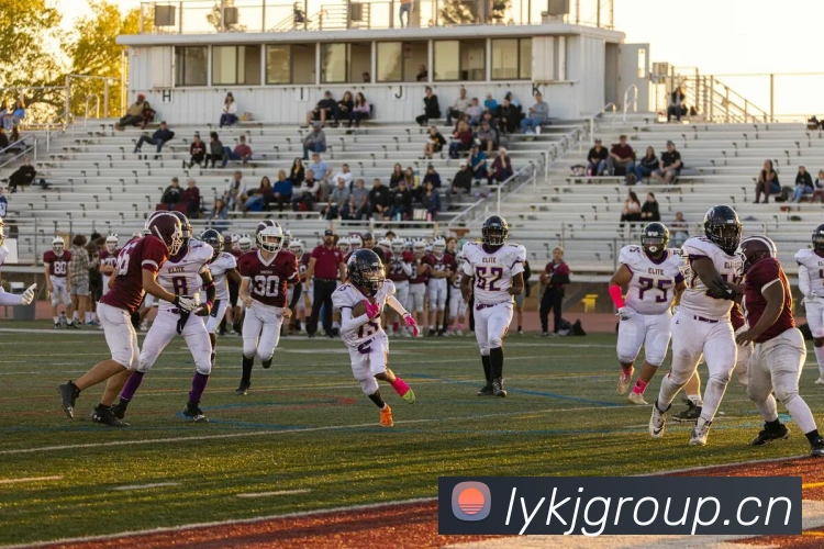 开云平台生态图